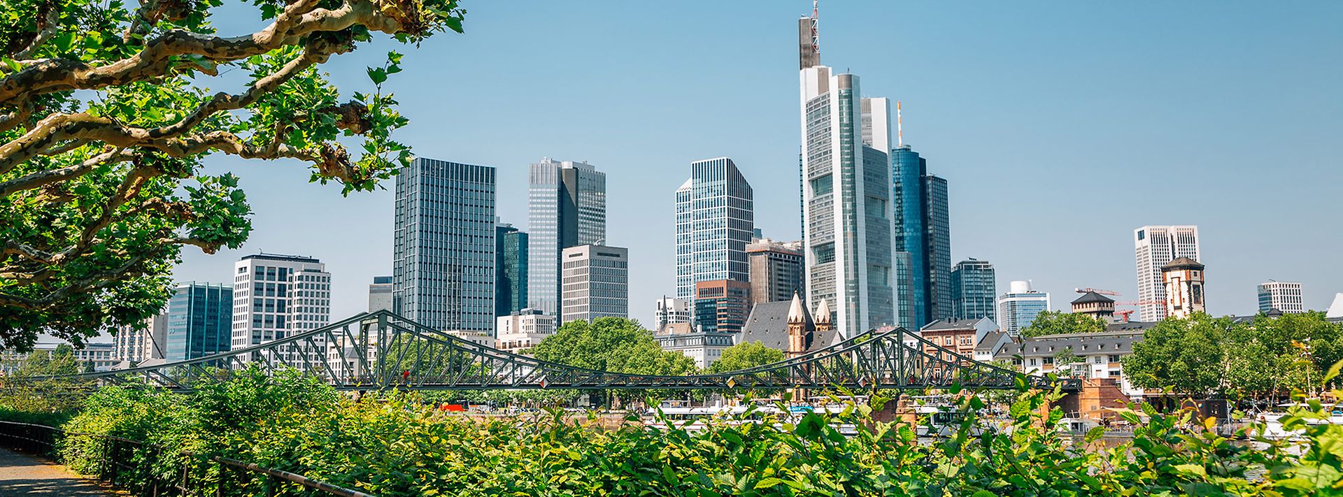  Stadtansicht mit grüner Parklandschaft im Vordergrund, Frankfurter Skyline im Hintergrund unter blauem Himmel.