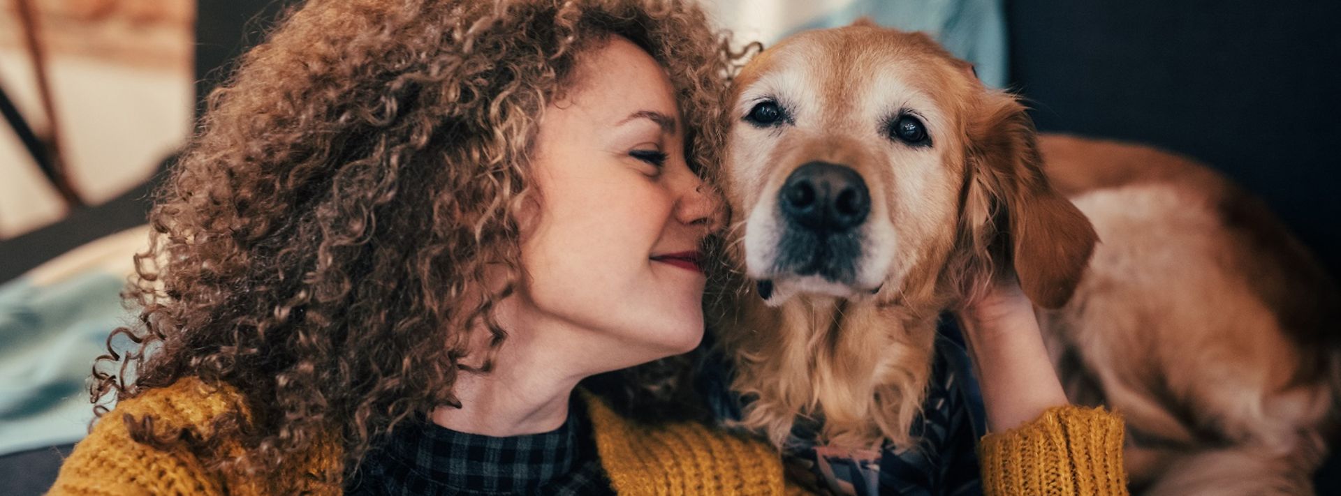 Frau streichelt einen Golden Retriever in einer warmen Wohnung