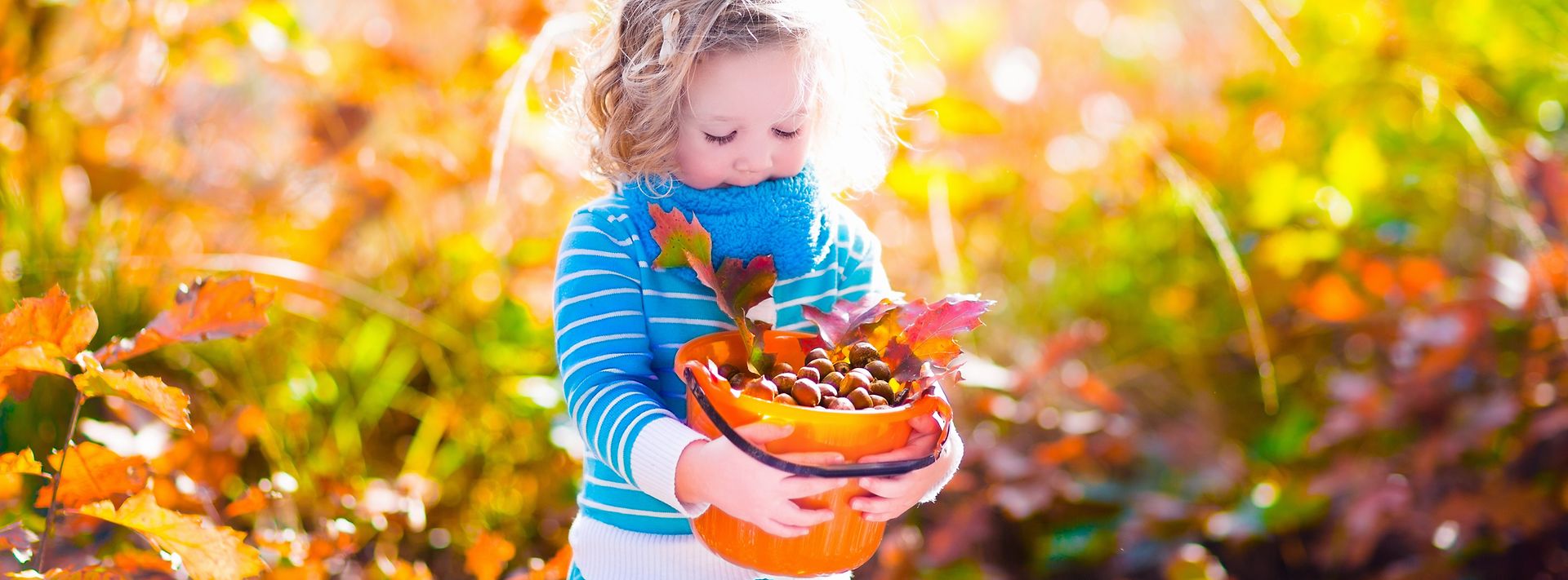 © istock.com/FamVeld Mädchen mit Eicheln und bunten Blättern im Eimer im Laubwald
