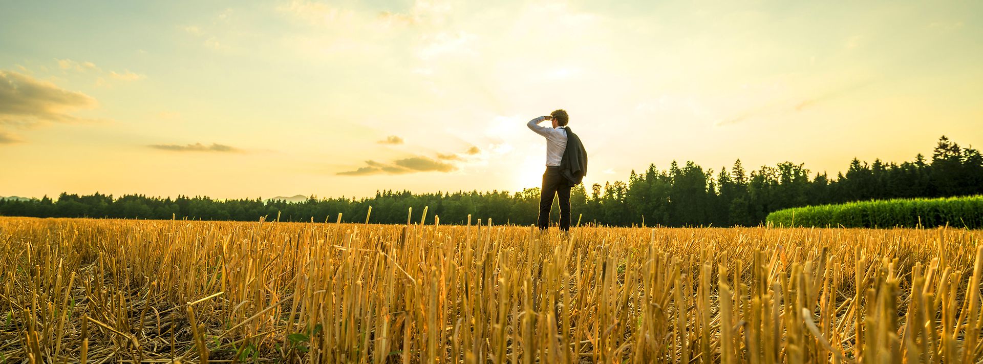 Mann steht auf einem Getreidefeld und schaut in die Ferne